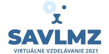 logo VV2022