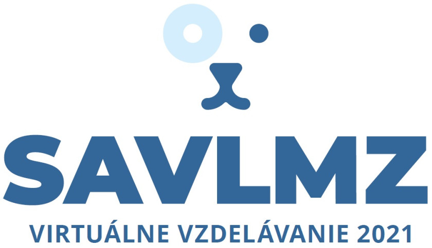 logo VV2023