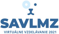logo VV2022